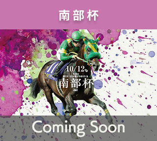 南部杯