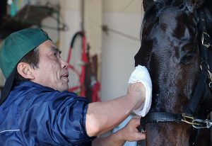 岩手競馬の厩舎では、厩務員を募集しています！