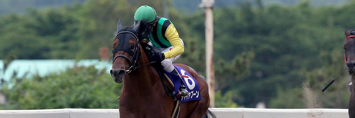 重賞 岩手ダービーダイヤモンドカップ M1 結果 優勝はチャイヤプーン号 岩手競馬