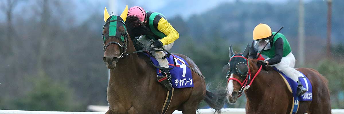 重賞 ダービーグランプリ結果 優勝はチャイヤプーン号 岩手競馬