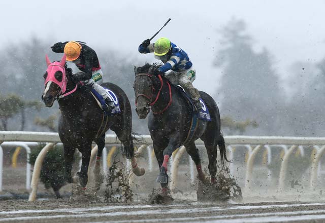 19年度岩手競馬各部門表彰馬が決定 年度代表馬はヤマショウブラック号 岩手競馬