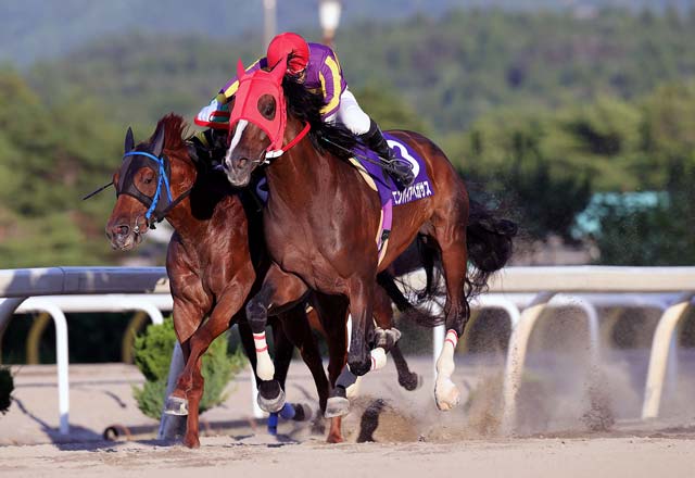 21年度岩手競馬年度代表馬はエンパイアペガサス号 各部門表彰馬が決まりました 岩手競馬