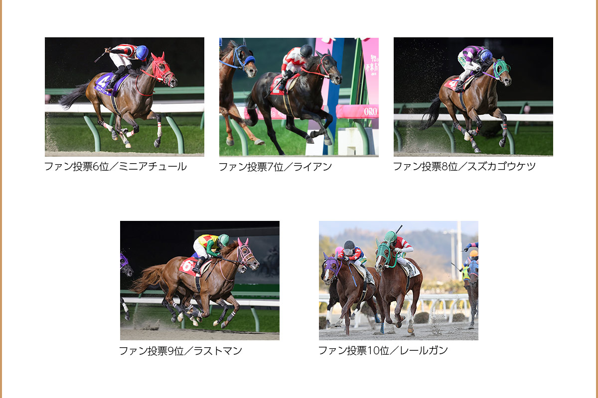 岩手競馬グランプリ『第49回桐花賞』出走馬ファン投票 結果発表