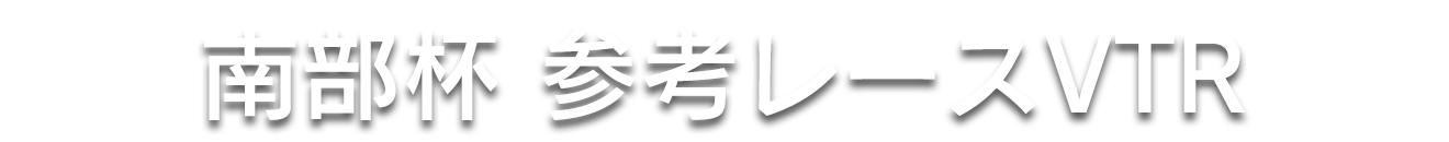 南部杯　参考レースVTR